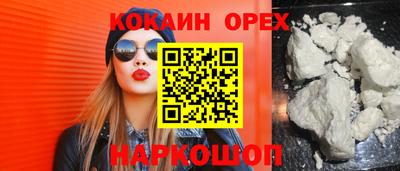 прущие грибы Камышлов