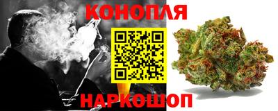 крисы Канаш