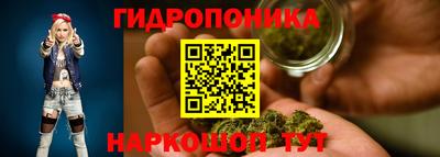 молекула духа Кандалакша