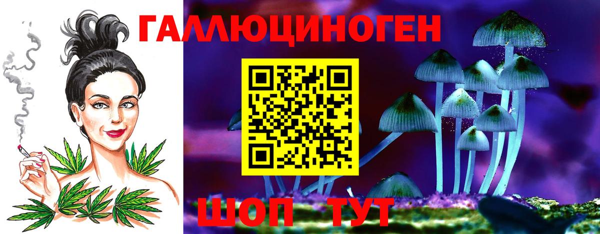 Псилоцибиновые грибы прущие грибы Таганрог