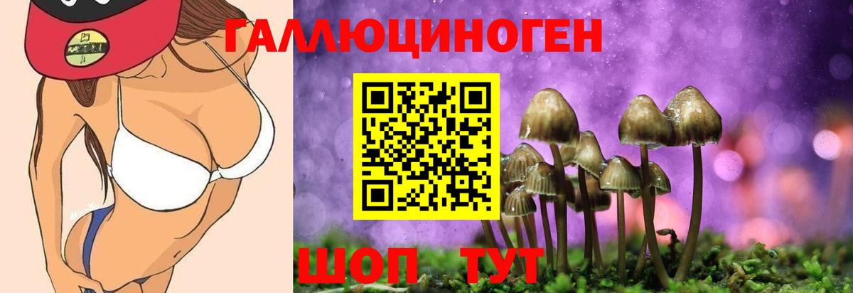 Таганрог  Галлюциногенные грибы Psilocybine cubensis  Вход с VPN 